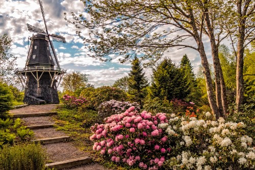 Entertainment District