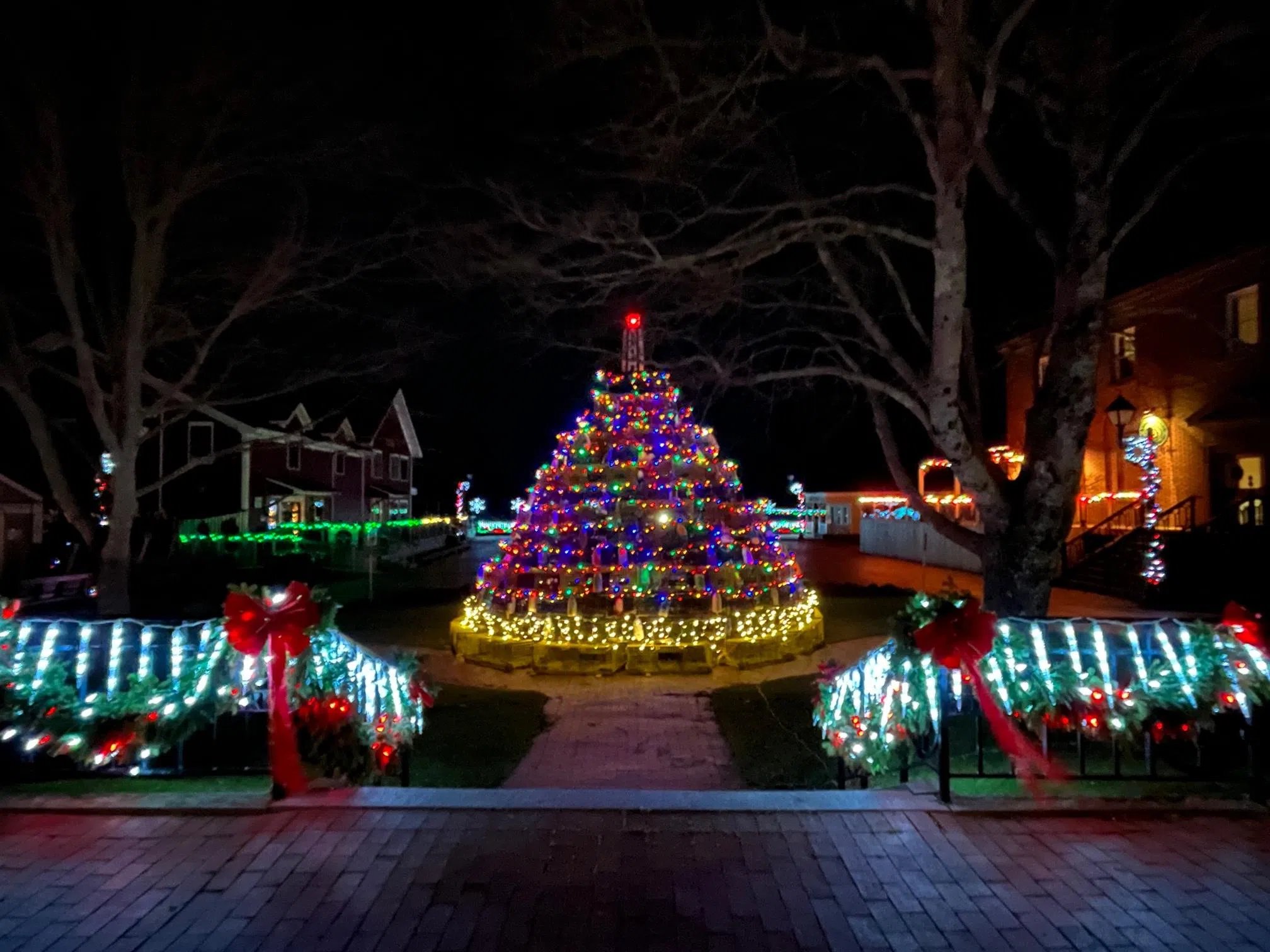 Help build the lobster crate xmas tree in st.andrews